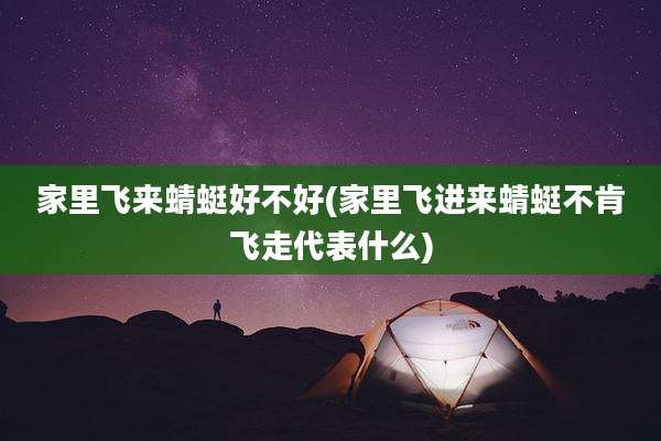 家里飞来蜻蜓好不好(家里飞进来蜻蜓不肯飞走代表什么)