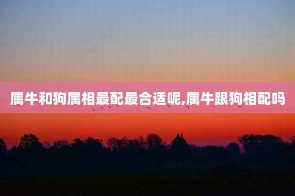属牛和狗属相最配最合适呢,属牛跟狗相配吗