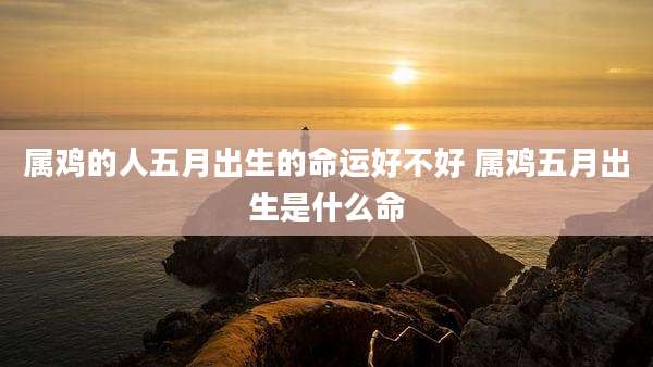 属鸡的人五月出生的命运好不好 属鸡五月出生是什么命