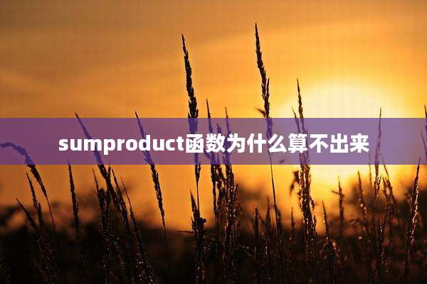 sumproduct函数为什么算不出来