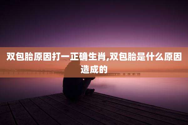 双包胎原因打一正确生肖,双包胎是什么原因造成的