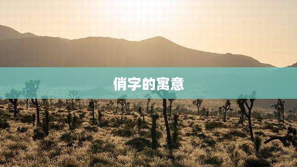 俏字的寓意