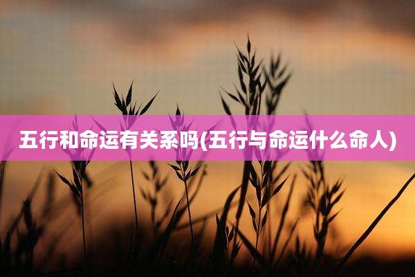 五行和命运有关系吗(五行与命运什么命人)