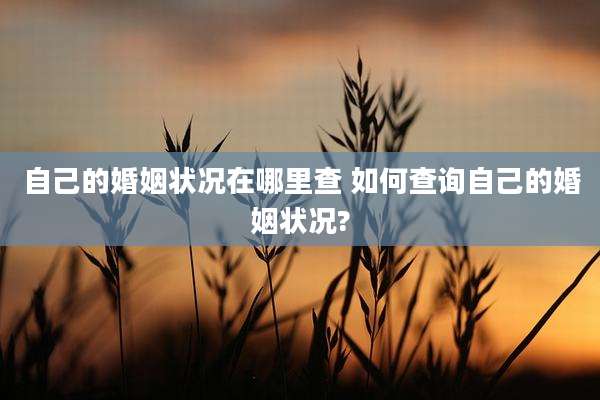 自己的婚姻状况在哪里查 如何查询自己的婚姻状况?