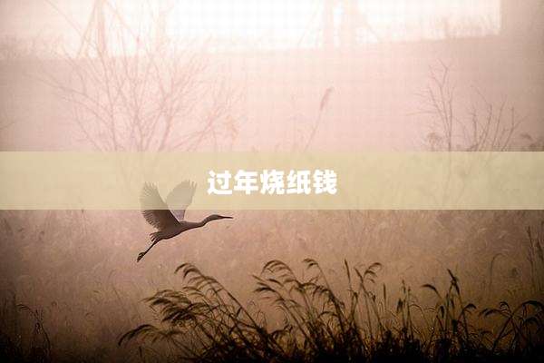 过年烧纸钱