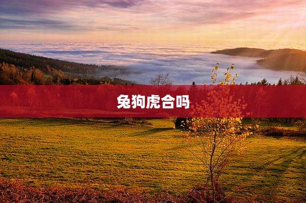 兔狗虎合吗