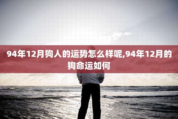 94年12月狗人的运势怎么样呢,94年12月的狗命运如何