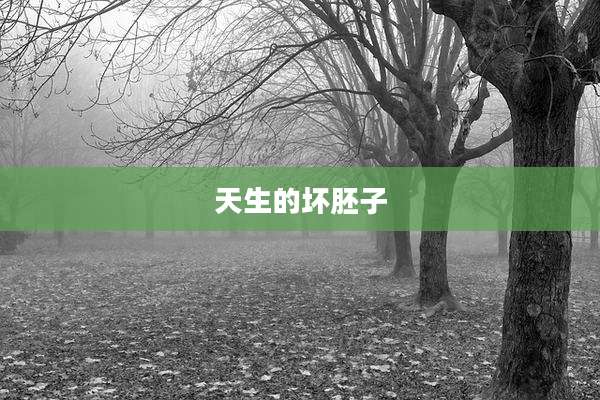 天生的坏胚子