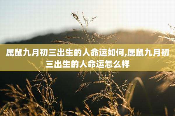 属鼠九月初三出生的人命运如何,属鼠九月初三出生的人命运怎么样