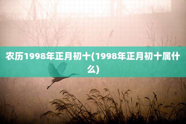 农历1998年正月初十(1998年正月初十属什么)