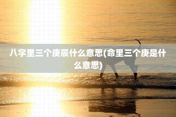 八字里三个庚辰什么意思(命里三个庚是什么意思)