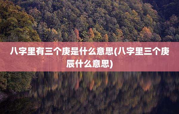 八字里有三个庚是什么意思(八字里三个庚辰什么意思)