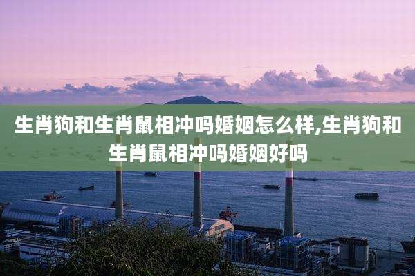 生肖狗和生肖鼠相冲吗婚姻怎么样,生肖狗和生肖鼠相冲吗婚姻好吗