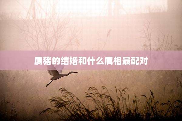属猪的结婚和什么属相最配对