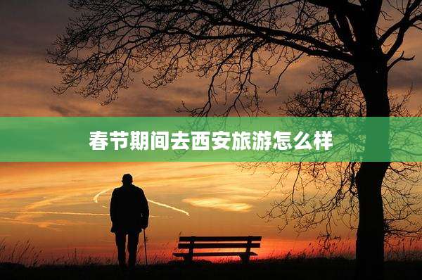 春节期间去西安旅游怎么样