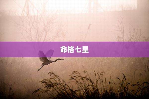 命格七星
