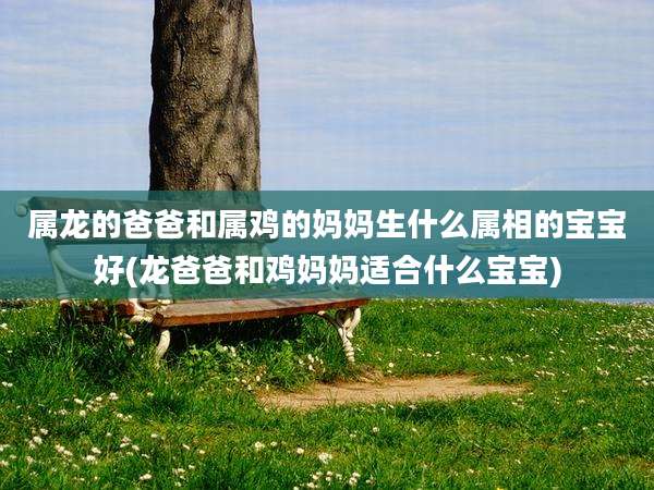 属龙的爸爸和属鸡的妈妈生什么属相的宝宝好(龙爸爸和鸡妈妈适合什么宝宝)