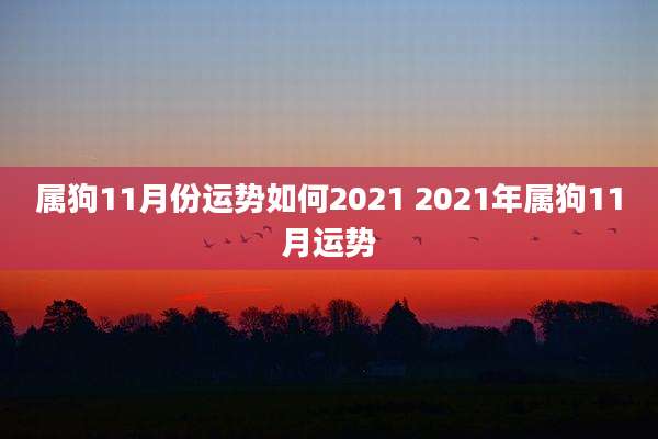 属狗11月份运势如何2021 2021年属狗11月运势