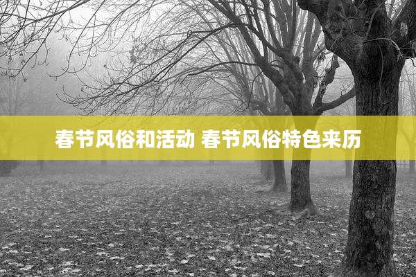 春节风俗和活动 春节风俗特色来历
