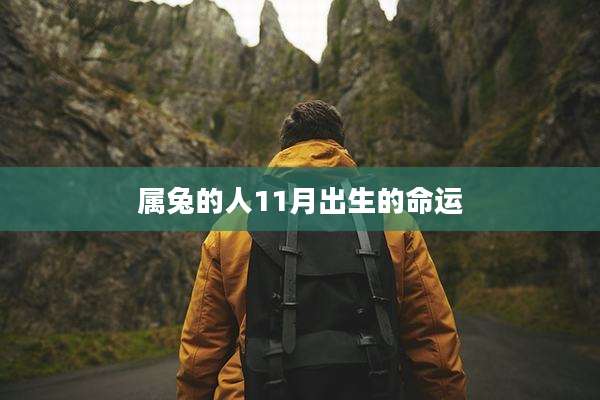 属兔的人11月出生的命运