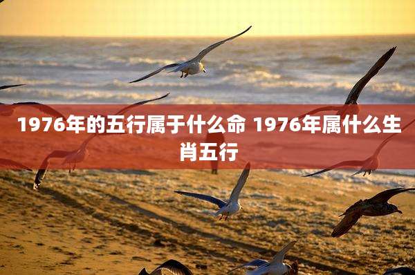 1976年的五行属于什么命 1976年属什么生肖五行