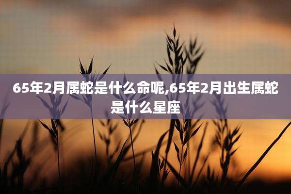 65年2月属蛇是什么命呢,65年2月出生属蛇是什么星座