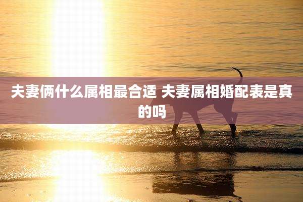 夫妻俩什么属相最合适 夫妻属相婚配表是真的吗
