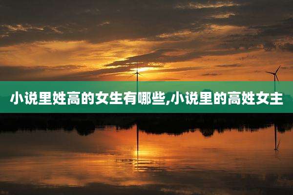 小说里姓高的女生有哪些,小说里的高姓女主