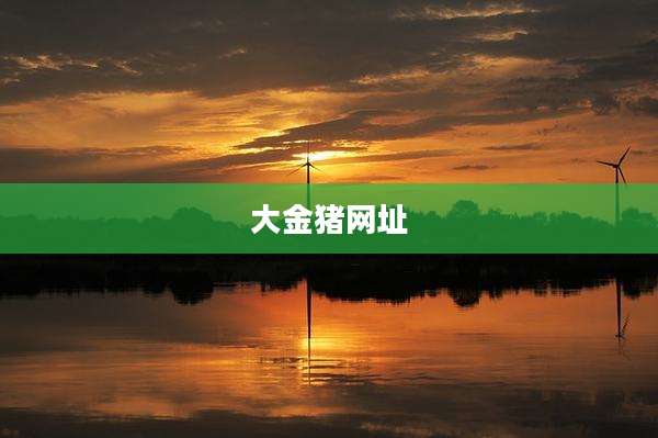 大金猪网址