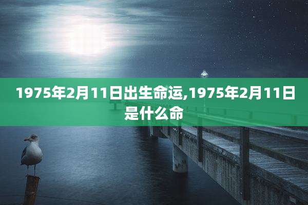 1975年2月11日出生命运,1975年2月11日是什么命