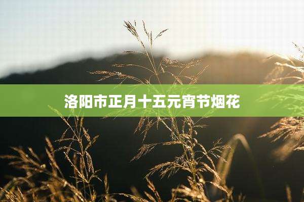 洛阳市正月十五元宵节烟花