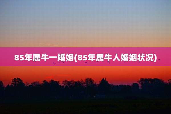 85年属牛一婚姻(85年属牛人婚姻状况)