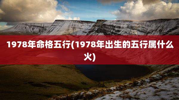 1978年命格五行(1978年出生的五行属什么火)