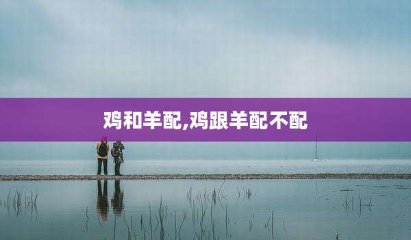 鸡和羊配,鸡跟羊配不配