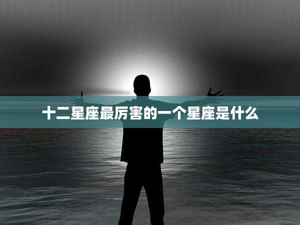 十二星座最厉害的一个星座是什么