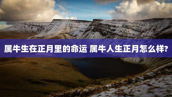 属牛生在正月里的命运 属牛人生正月怎么样?