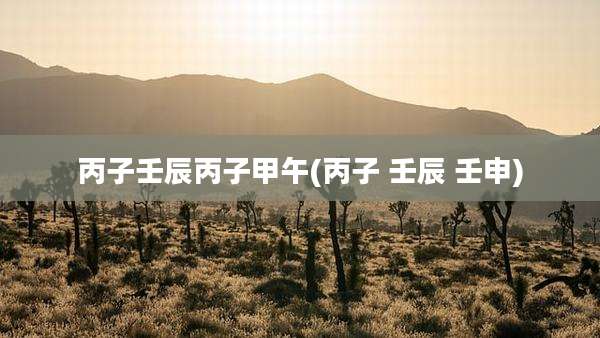 丙子壬辰丙子甲午(丙子 壬辰 壬申)