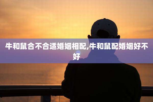牛和鼠合不合适婚姻相配,牛和鼠配婚姻好不好