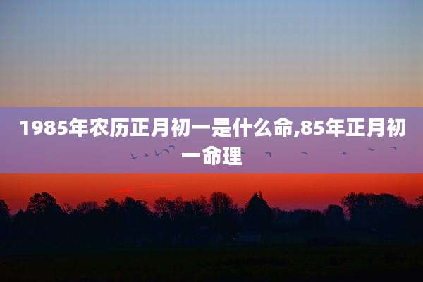 1985年农历正月初一是什么命,85年正月初一命理
