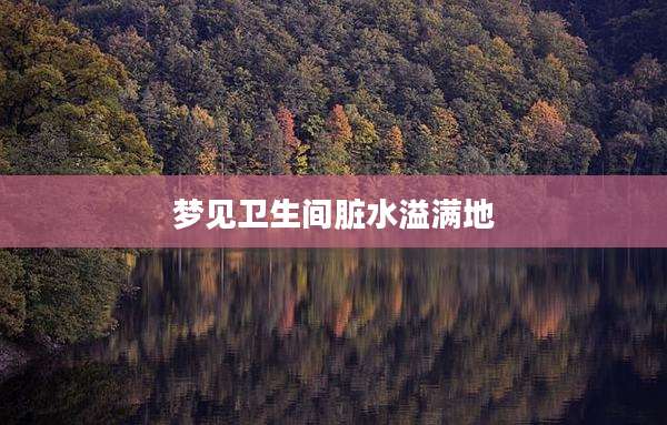 梦见卫生间脏水溢满地