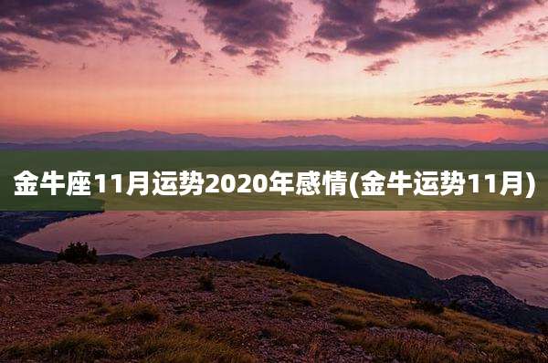 金牛座11月运势2020年感情(金牛运势11月)