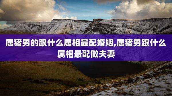 属猪男的跟什么属相最配婚姻,属猪男跟什么属相最配做夫妻