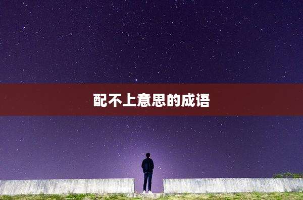 配不上意思的成语