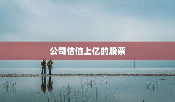 公司估值上亿的股票