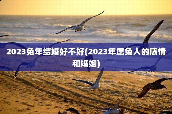 2023兔年结婚好不好(2023年属兔人的感情和婚姻)
