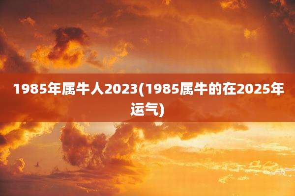 1985年属牛人2023(1985属牛的在2025年运气)