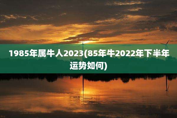 1985年属牛人2023(85年牛2022年下半年运势如何)