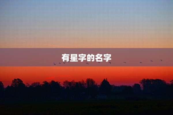 有星字的名字