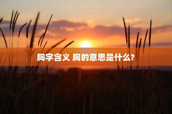 胸字含义 胸的意思是什么?