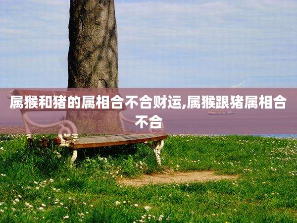 属猴和猪的属相合不合财运,属猴跟猪属相合不合